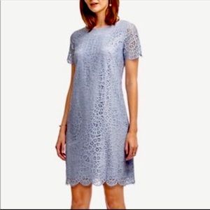 Ann Taylor Lavender Lace Shift Dress - size 8